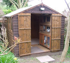 Shed