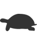 Tortoise